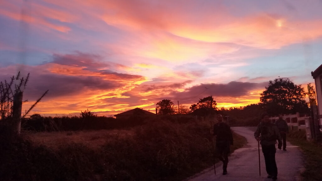 A vibrant sunset with pink and orange hues across the sky, silhouettes of trees and a house, and a person walking along a path.