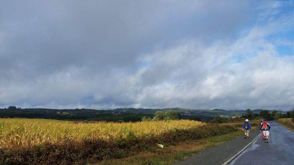 A rural landscape with a field of tall yellow grass, a road in the foreground, and a cloudy sky over distant green hills.