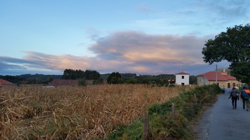 A countryside scene with a field of tall grass, a small white building to the right, and a blue sky with soft clouds at sunset.