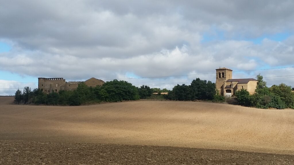 Wide space with trees in distant